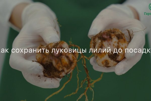 Kraken 13at сайт