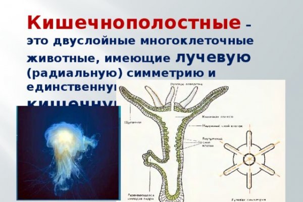 Кракен сайт 2krnk cc